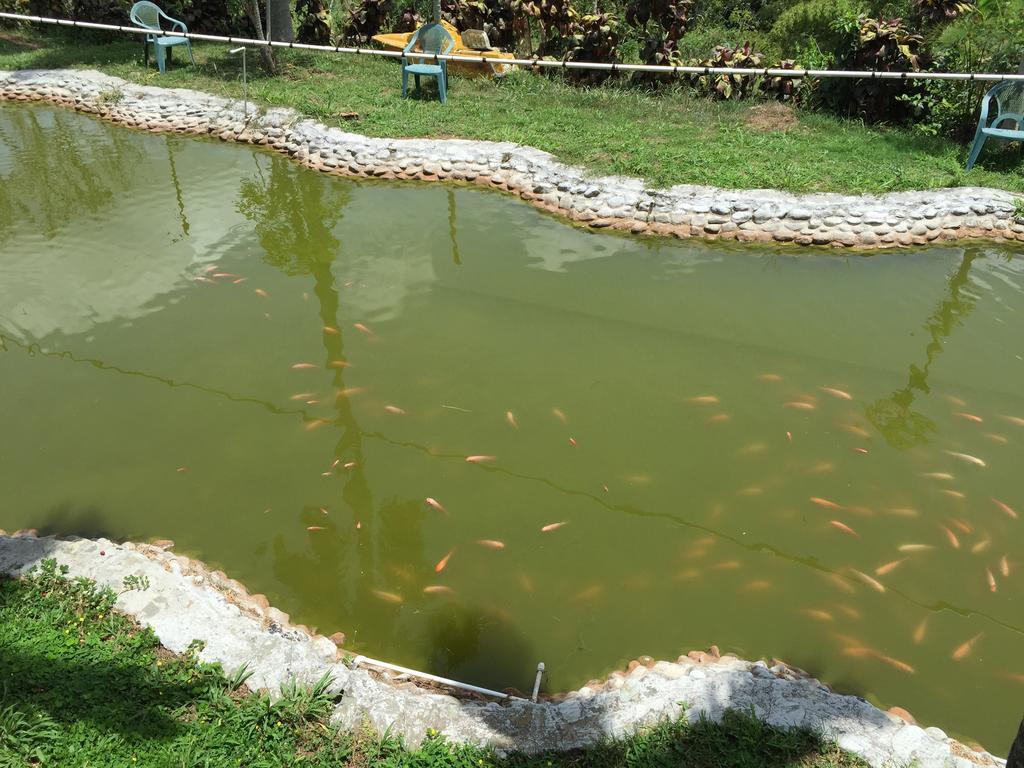 Farm stay La Bella