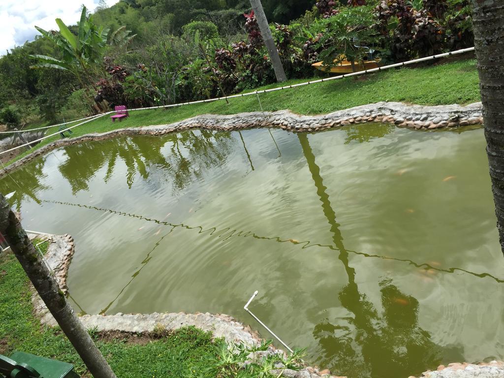 Farm stay La Bella