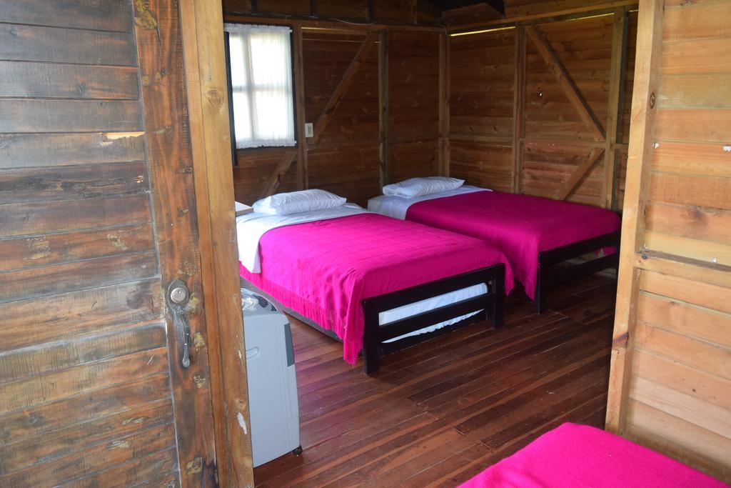 Farm stay La Bella La Tebaida